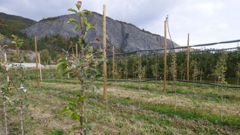 Les rachats de terres agricoles sous forme de cessions de parts sociales s’opèrent le plus souvent au double du prix du marché classique. © C. Sarrazin